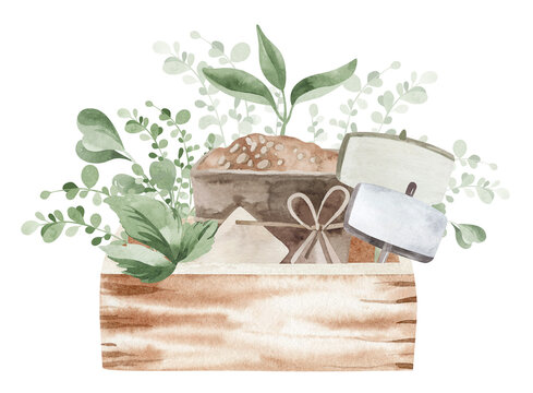 watercolor wooden box with plants and signs clip art preview