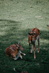 City quests  © Justyna d.Arc