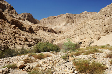 Mountains in the Ein Gedi Nature Reserve on the shores of the Dead Sea in Israel.