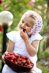 little girl eating strawberries