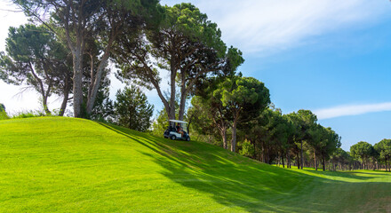 Panoramic view of beautiful golf course with buggy and pines on sunny day. Golf field with fairway, lake and pine-trees
