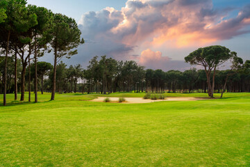 Panoramic view of beautiful golf course with pines with dramatic sky and clouds