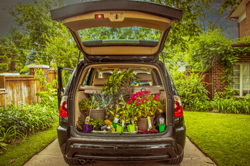 Home before the storm - Black hatchback vehicle with rear hatch up showing back full of flowers...