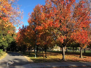 Naklejka premium Menlo park, Bay Area, San Mateo county, Silicon Valley, California, USA, neighborhood, southern San Francisco, home to start-up and global technology companies, Apple, Facebook, Google, Computer,