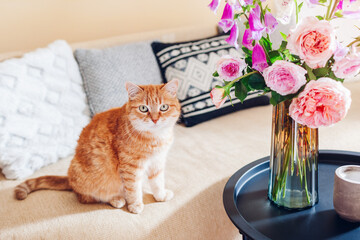 Ginger cat sitting on couch in living room by bouquet of roses and foxgloves flowers. Pet feels comfortable and cozy