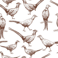 Hand-drawn birds of South America. .  Vector pattern.