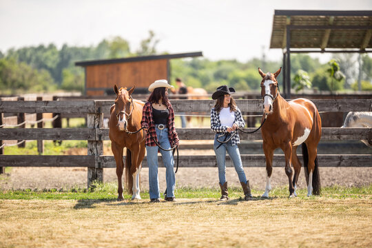 Two young cowgirls walk their paint horses on a ranch in the summer