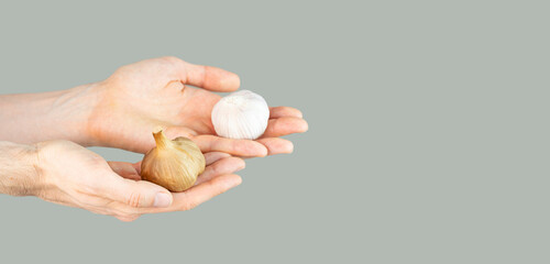 Hands with white and black garlic heads. Garlic and fermented garlic in the hands on a green...