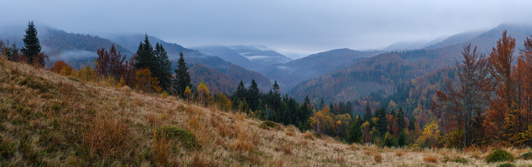 Fototapeta premium Cloudy and foggy early morning autumn mountains scene. Peaceful picturesque traveling, seasonal, nature and countryside beauty concept scene. Carpathian Mountains, Ukraine.