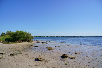 Emerson Point Preserve: The Manatee River meets the Tampa Bay	
