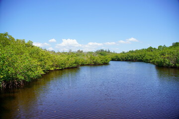 Emerson Point Preserve: The Manatee River meets the Tampa Bay	
