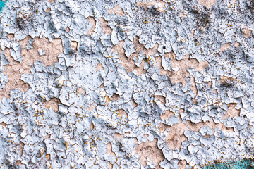 old concrete wall texture with old paint