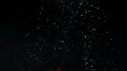 Fresh orange tomatoes on twig fall down into clear water with bubbles on black background. Vegetables thrown underwater macro slow motion - Powered by Adobe