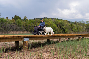 Obraz premium Happy man with disability on wheelchair with his dog in nature.