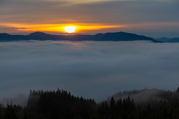 Fototapeta na wymiar Forests and valleys in the clouds during sunrise in the mountains, Carpathians, Smotrych