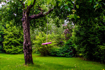 Swing among the greenery of the garden - Huśtawka wśród zieleni ogrodu © Piotr Gancarczyk