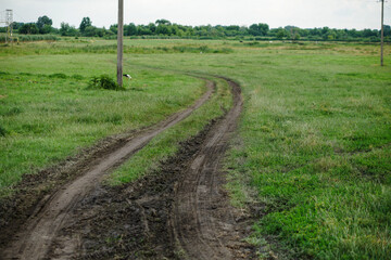 Summer landscape with country road and green meadow