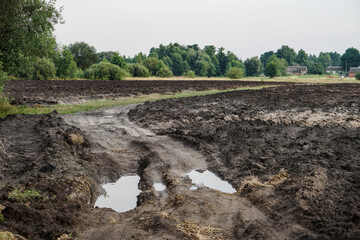 Country road through a plowed agricultural field. Farming and food industry. Photo background