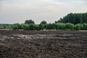 Plowed agricultural field for sowing. The process of preparing the soil before planting cereals, legumes, nightshade crops. Farming and food industry