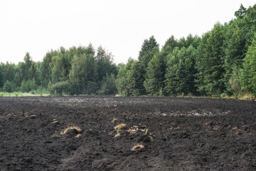 Plowed agricultural field for sowing. The process of preparing the soil before planting cereals, legumes, nightshade crops. Farming and food industry