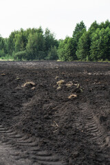 Plowed agricultural field for sowing. The process of preparing the soil before planting cereals, legumes, nightshade crops. Farming and food industry