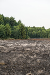 Plowed agricultural field for sowing. The process of preparing the soil before planting cereals, legumes, nightshade crops. Farming and food industry