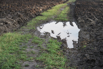 Country road through a plowed agricultural field. Farming and food industry. Photo background