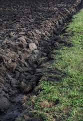 Plowed agricultural field for sowing. The process of preparing the soil before planting cereals, legumes, nightshade crops. Farming and food industry