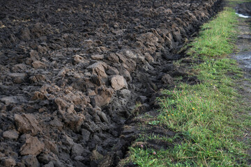 Plowed agricultural field for sowing. The process of preparing the soil before planting cereals, legumes, nightshade crops. Farming and food industry