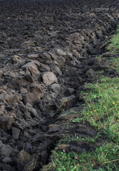 Plowed agricultural field close up for sowing. The process of soil preparation before planting cereals, legumes, nightshade crops. Agriculture and food industry
