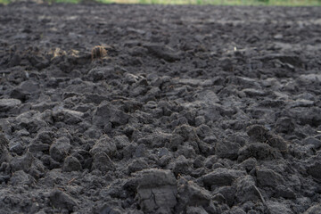 Plowed agricultural field for sowing. The process of preparing the soil before planting cereals, legumes, nightshade crops. Farming and food industry