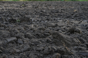 Plowed agricultural field for sowing. The process of preparing the soil before planting cereals, legumes, nightshade crops. Farming and food industry