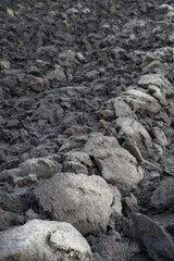 Plowed agricultural field close up for sowing. The process of preparing the soil before planting cereals, legumes, nightshade crops. Farming and food industry
