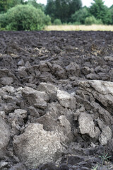 Plowed agricultural field for sowing. The process of preparing the soil before planting cereals, legumes, nightshade crops. Farming and food industry