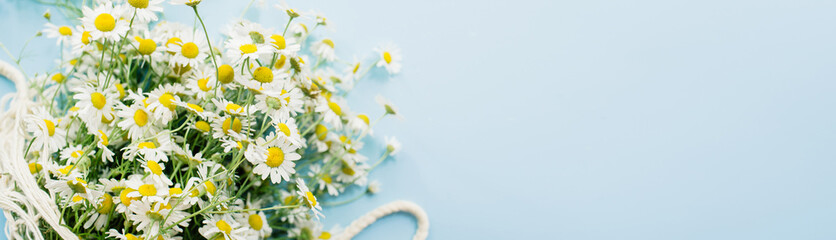 Banner Flowers composition. Chamomile bouquet on blue background. Spring, summer concept. Flat lay, top view, copy space