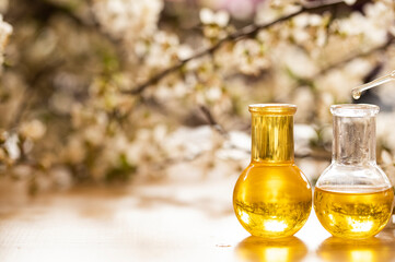 Oil bottle. Spa concept. Spa. Wellness. Glass. oil. Aroma. Photo. Background. 
