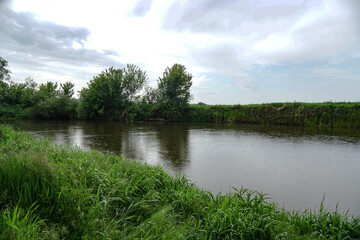 Evening landscape with the last rays of the sun. Morning by the river in summer. Beautiful nature, photo for design