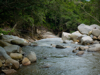 Lots of Vegetation, Plants, Rocks at Waterfalls in Cisneros, Antioquia, Colombia