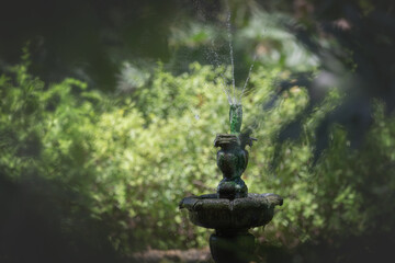 Fountain in a pond in a tranquil or peaceful setting in a park with lots of greenery and plant life