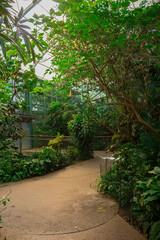 Hermoso santuario de aves, cuidado, verde y saludable