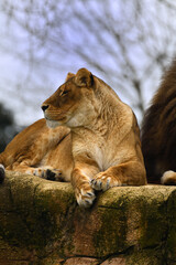 Contemplation !