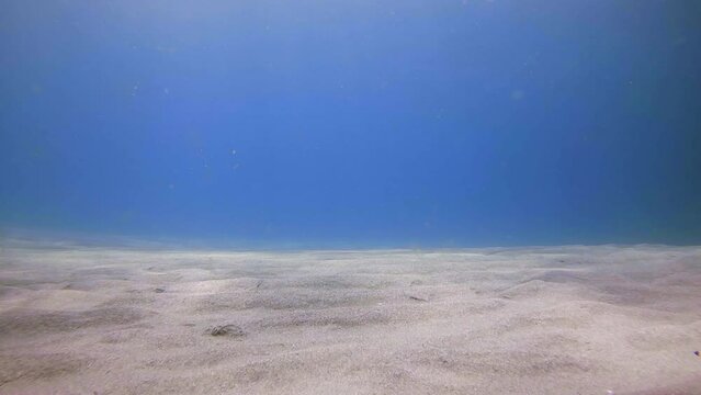 Underwater View Of Sea Floor In Ocean With Sand