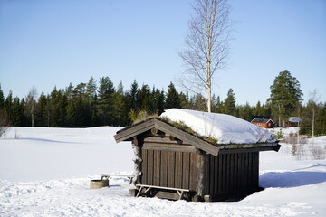 wooden house in the forest