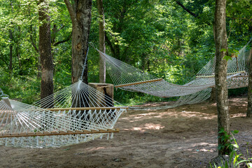 Several empty hammocks hung in the woods