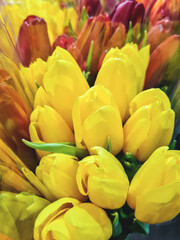 Yellow bouquet of tulips and in the background a red bouquet, spring flower market, close-up