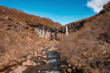 Scenic view of Svartifoss waterfall amidst basalt columns formation. Flowing stream from cliffs in...