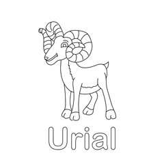 Urial coloring page line art animal vector
