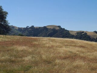 The Corduroy Hills trail in Las Trampas Wilderness, California