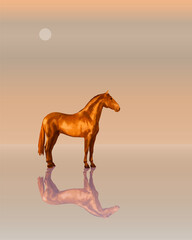 a red Andalusian horse stands on a foggy shore © Viktoria Suslova
