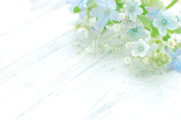 青い花の背景